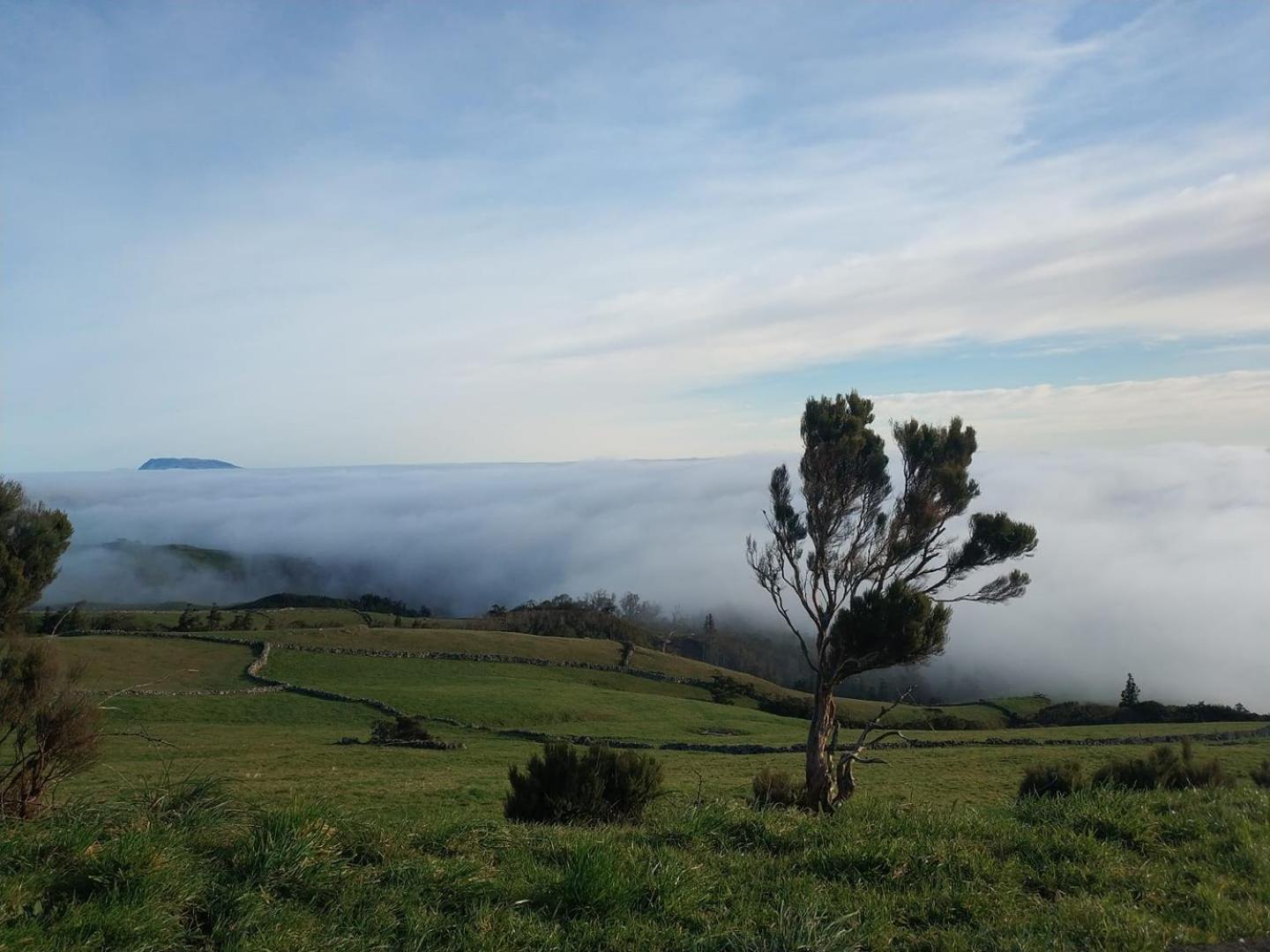 Casa da Queijaria Villa Faja Grande Bagian luar foto