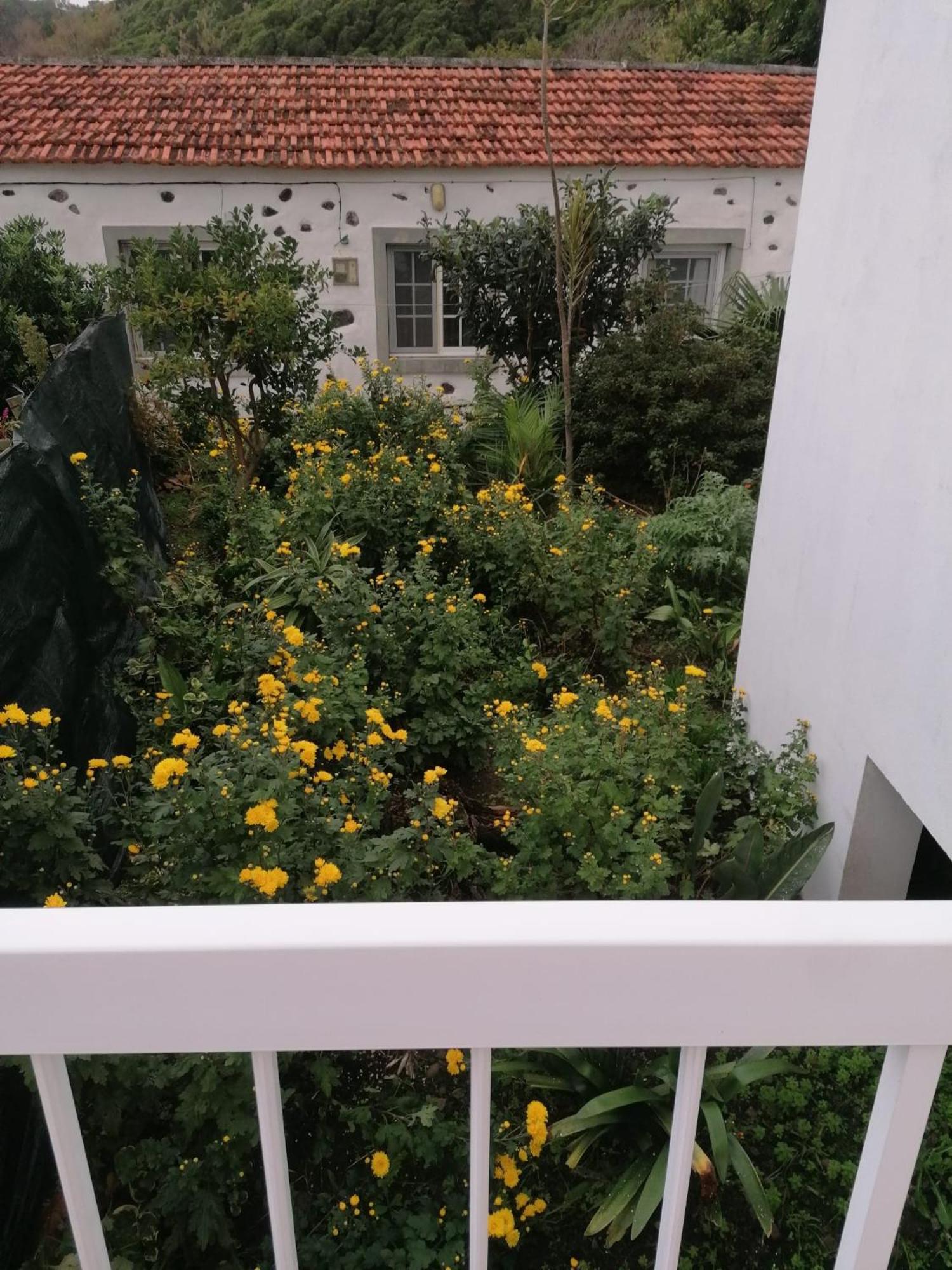 Casa da Queijaria Villa Faja Grande Bagian luar foto